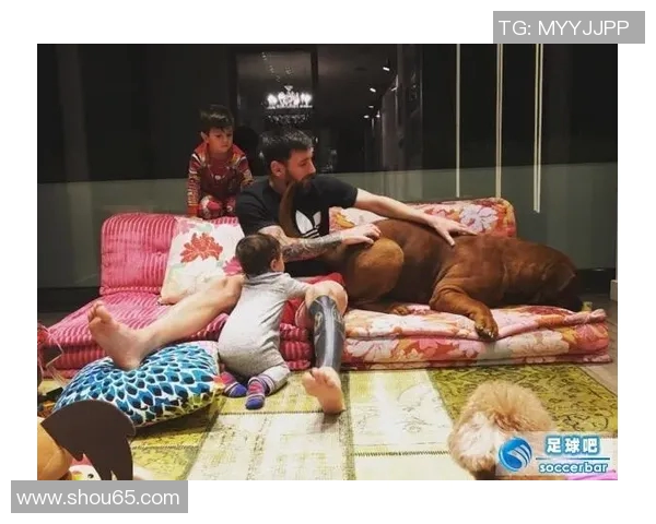 足球明星们的宠物时光精彩瞬间遛狗视频合集大揭秘 足球明星们的宠物时光精彩瞬间遛狗视频合集大揭秘