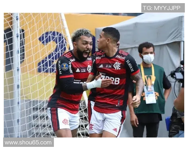 巴西与德国在米内罗的激烈对决回顾与分析